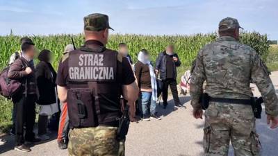 На польско-белорусской границе задержали крупнейшую группу мигрантов