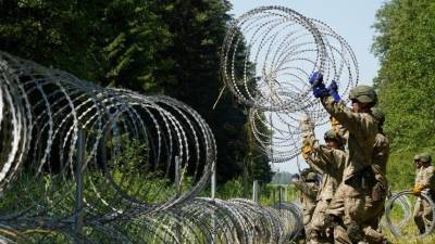 Власти Литвы и Латвии разрешили открывать пограничникам огонь по мигрантам