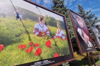 В белгородском парке открылась фотовыставка Андрея Смольникова