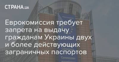 Еврокомиссия требует запрета на выдачу гражданам Украины двух и более действующих заграничных паспортов