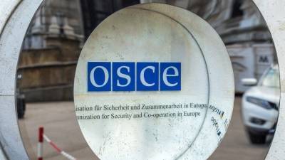 Политизированный демарш: почему ОБСЕ отказалось прислать наблюдателей на выборы в РФ