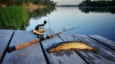 Пьяная рыбалка на Луганщине завершилась смертью мужчины