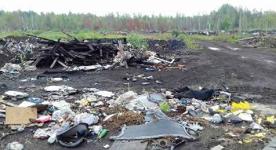 В Смоленской области обнаружили стихийную свалку