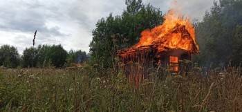 В Вологодской области рядом с лесным массивом подожгли брошенный сарай