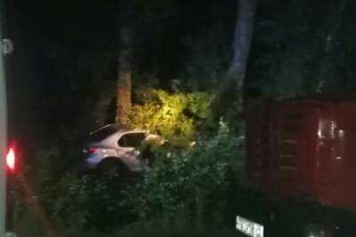 В Курской области водитель Renault сбил лошадь, вылетел в кювет и врезался в дерево
