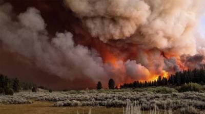 Из-за лесных пожаров в Калифорнии эвакуированы более 16 тыс. человек