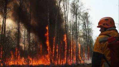 Дым от пожаров в Якутии затянул Байкал