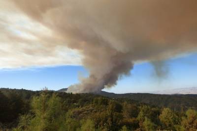 В Калифорнии лесной пожар уничтожил основанный в середине XIX века город