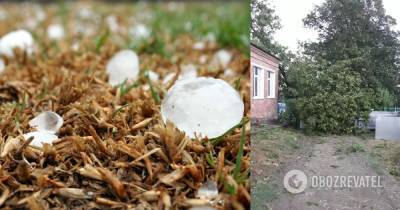 Ураган в Краснодарском крае России 4 августа 2021 – фото и видео последствий