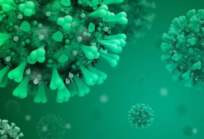 Учёный подтвердил, что иммунитет после вакцинации от коронавируса сохраняется полгода