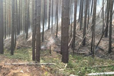 В Баргузинском районе Бурятии потушили лесной пожар