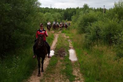 Директора конного клуба снова будут судить в Хабаровске за травму