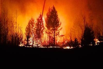 Повышенную пожарную опасность прогнозируют в лесах Забайкалья в августе