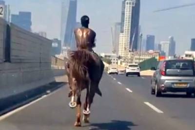 Араб из Яффо проскакал на коне по шоссе Аялон
