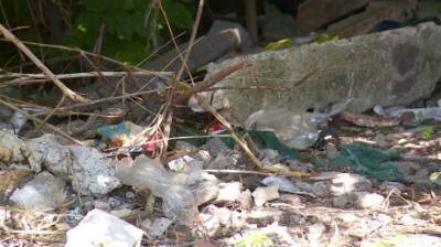 Жители домов на проспекте Строителей завалили мусором кусты