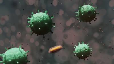 Академик РАН рассказал, сколько держится клеточный иммунитет к коронавирусу