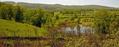 В Красноярске создадут экопарк «Юдинская долина»