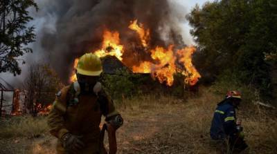 Украина направит в Грецию пожарных