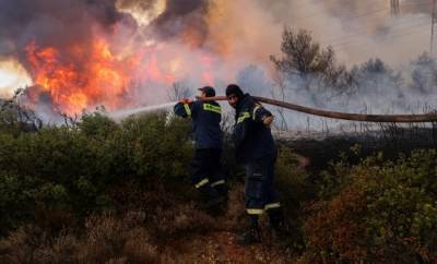 Украина направит в Грецию отряд спасателей для борьбы с пожарами