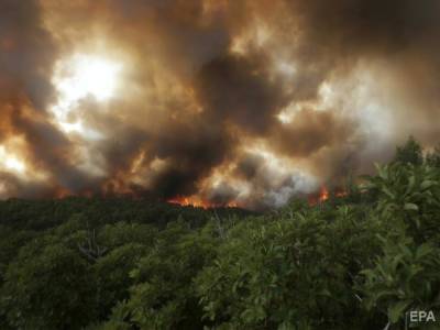 Зеленский поручил отправить 100 спасателей на помощь Греции в борьбе с пожарами
