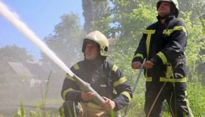 Зеленский направит Греции помощь для борьбы с пожарами
