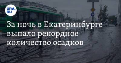 Галина Шепоренко - За ночь в Екатеринбурге выпало рекордное количество осадков - ura.news - Екатеринбург - Свердловская обл.