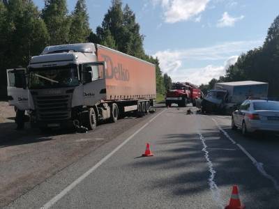 На южноуральской трассе произошла смертельная авария с тремя автомобилями - u24.ru - район Ашинский