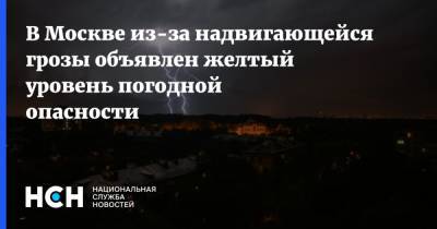 В Москве из-за надвигающейся грозы объявлен желтый уровень погодной опасности