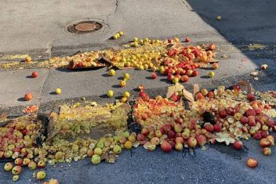Более 182 кг яблок неизвестного происхождения уничтожили в Чебоксарах