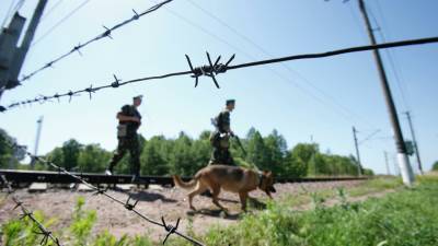 На белорусско-польской границе задержали группу из 62 мигрантов