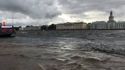 Петербуржцев предупредили о ветреной погоде 6 августа