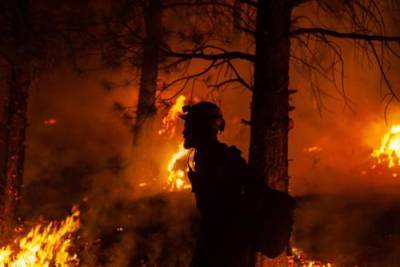 В Калифорнии лесной пожар почти полностью уничтожил город