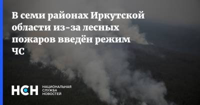 В семи районах Иркутской области из-за лесных пожаров введён режим ЧС