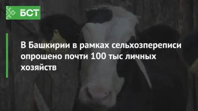 В Башкирии в рамках сельхозпереписи опрошено почти 100 тыс личных хозяйств