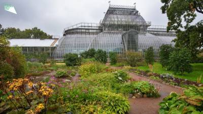 В Петербурге открылся «Сенсорный сад»
