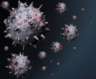 Профессор Нетесов назвал сроки сохранения клеточного иммунитета к коронавирусу