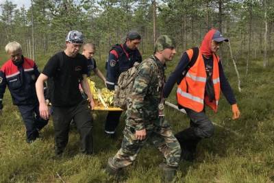 Волонтеры «ЛизаАлерт» в Петербурге и Ленобласти за июль отыскали 264 пропавших