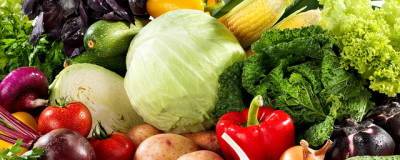 Российские аграрии собрали более 1,4 млн тонн овощей