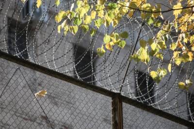 Сбежавших из истринского ИВС заключенных ищут в Москве и соседних регионах