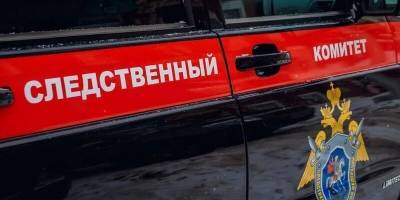 В Новосибирске проверяют данные о нападении на ребенка, получившего перелом позвоночника