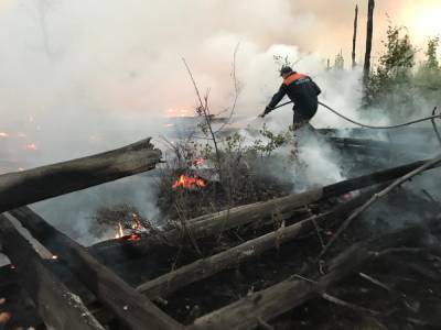 50 нижегородских пожарных помогают тушить заповедник в Мордовии