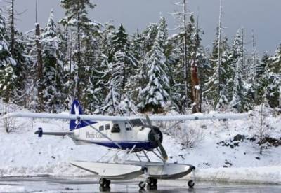 На Аляске разбился экскурсионный самолет, шесть погибших