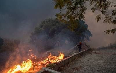Лесной пожар в Афинах вышел из-под контроля: что происходит