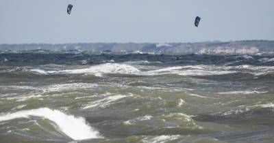 С Польши идёт циклон: в Калининградской области ветер не утихнет до обеда субботы