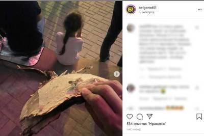 Белгородцы рассказали о кусках картона, упавших с неба во время салюта