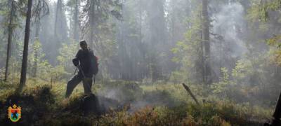 Пострадавший от пожаров район Карелии ищет инспекторов лесоохраны на 21 тысячу рублей