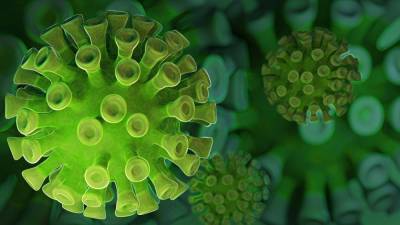 В Великобритании обнаружили план по борьбе с коронавирусом 16-летней давности