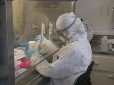 Ученые назвали опасность нового варианта коронавируса «Лямбда»