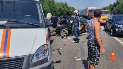 Двое детей и взрослых погибли в столкновении девяти машин в Ростовской области