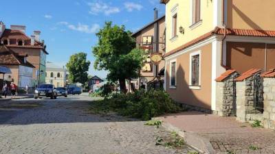 Сорваны крыши, повалены деревья: Каменец-Подольский накрыл мощный ураган